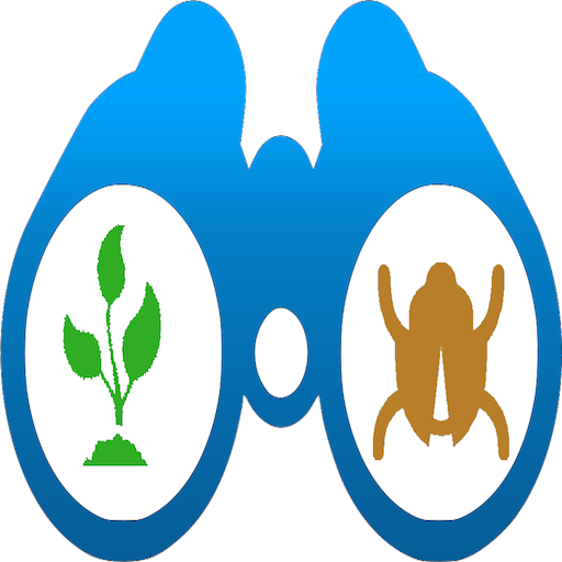 Thuốc BVTV logo