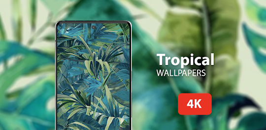 Tropical wallpapers 4K