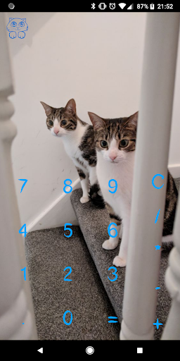 Cat Calculator Pro Screen 2