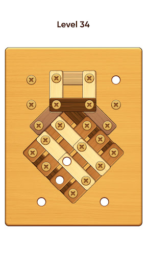 Screw Puzzle Screen 3