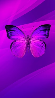 紫の壁紙 Androidアプリ Applion