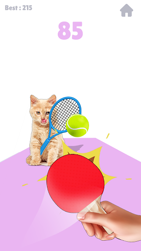 Meme Tennis Cat Screen 2