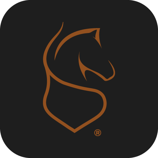 Prof SpiritPremiumGym - OVG logo