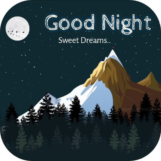 good night photo logo