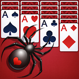 Daily Spider Solitaire Classic icon