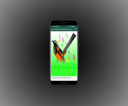 Android application Suara Burung Murai Batu Gacor screenshort