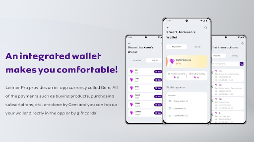 Leitner Pro Learn like a Pro