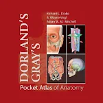 Cover Image of Baixar Atlas de Anatomia de Bolso de Gray de Dorland  APK