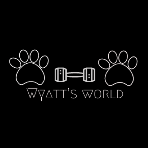 Wyatt’s World Fitness