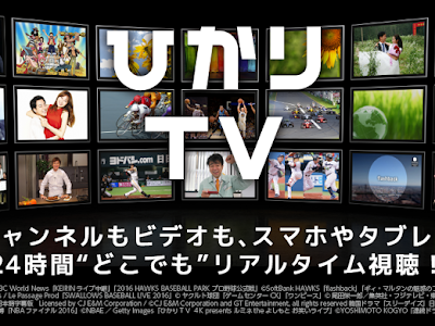 光tv お客様id 137408
