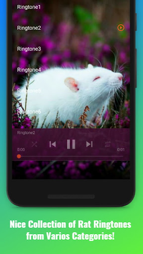 Rat Sounds Screen 2