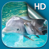 Dolphin Live Wallpaper HD icon