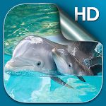 Dolphin Live Wallpaper HD Apk