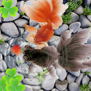 Goldfish 3D Live Wallpaper FREE
