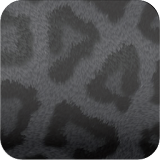 black leopard wallpaper icon