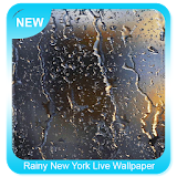 Rainy New York Live Wallpaper icon