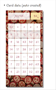 BingoCard [ BINGO:C ]