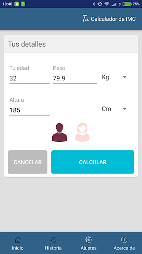 BMI Calculator Screen 2