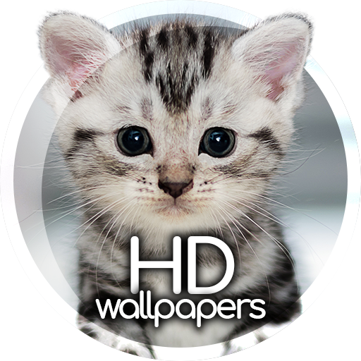 Cute animals wallpapers ดาวน์โหลดบน Windows