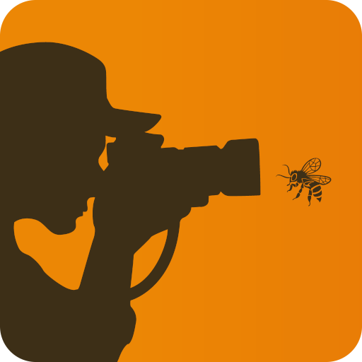 BeeWatching logo
