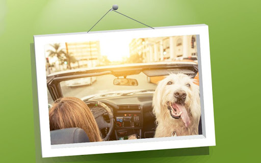Picture Puzzle: Dogs Screen 2