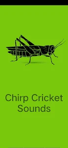 Chirp Cricket Sound