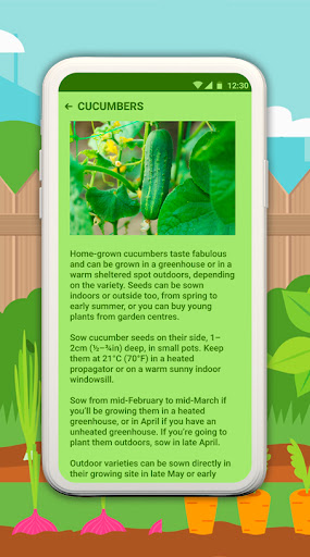 Vegetable Crops Screen 2