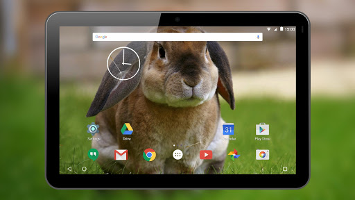 Rabbits Live Wallpaper