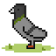 Élevage de pigeons Télécharger sur Windows