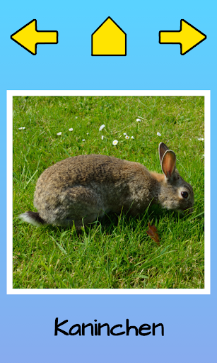 My first animals Screen 3