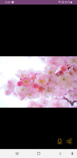 Android application Wallpapers screenshort