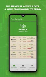 FOREX SIGNALS VIP