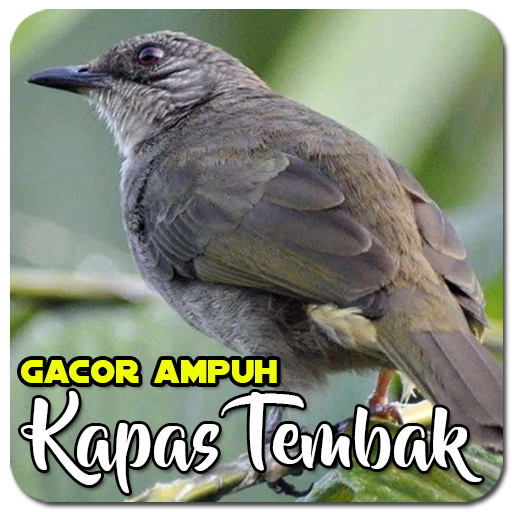 Masteran Kapas Tembak Ampuh logo