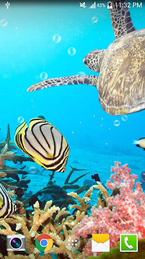 Aquarium Undersea wallpaper Screen 3