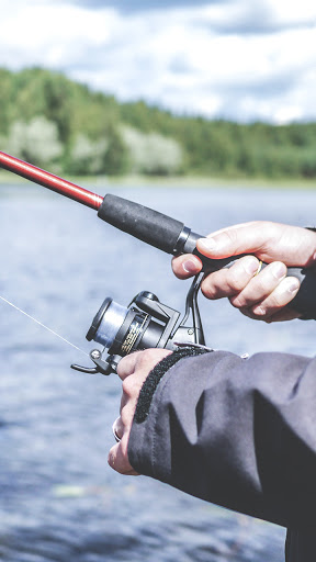 Android application fishing video wallpaper screenshort