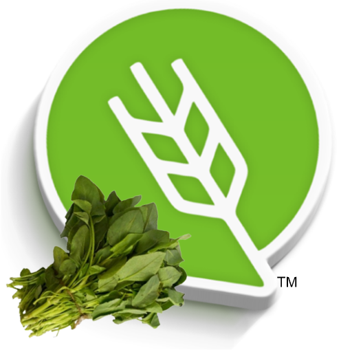 आंबट चुका लागवड #Agrownet™ logo