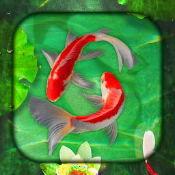 Icon image Koi Fish Live Wallpaper