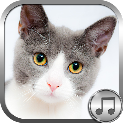 Cats sounds - Apps on Google Play