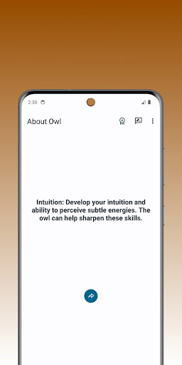 Owl Archetype Screen 2