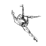 Artistic Gymnastics Institute icon