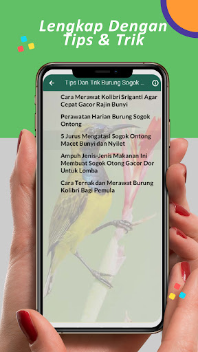 Suara Sogok Ontong Pikat Mp3 Screenshot 2 - AppWisp.com