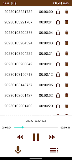 Simple Voice Recorder Screen 3
