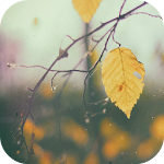 Vintage Wallpapers Apk