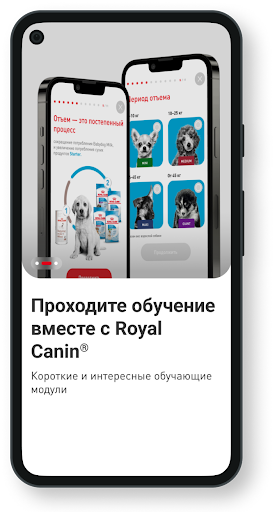 Royal Canin Connect Screen 2