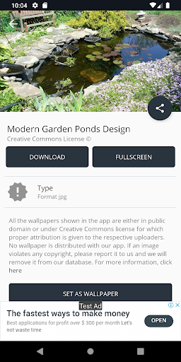 Modern Garden Ponds Design Ideas