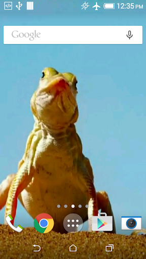 Android application Funny Lizard Live Wallpaper screenshort