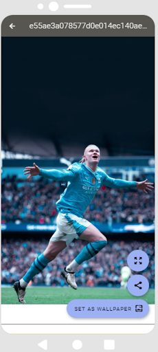 Manchester City HD Wallpapers screenshot 19
