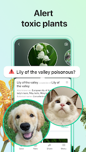 PictureThis: Identify Plant, Flower, Weed and More (MOD APK, GOLD) v3.15 4