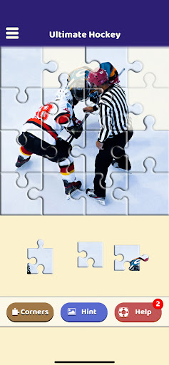 Ultimate Hockey Puzzle Screen 2
