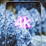 Cover Image of Download blue wallpaper - HD,4K backgro  APK